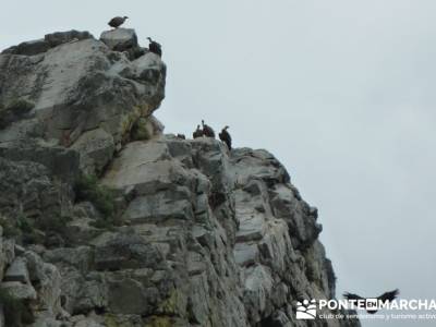 Parque Nacional Monfragüe - Reserva Natural Garganta de los Infiernos-Jerte;asociacion senderismo m